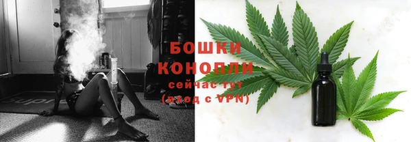 спайс Аркадак
