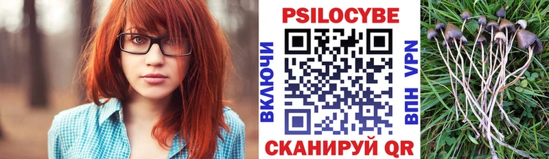 МЕГА зеркало  Новомосковск  Псилоцибиновые грибы мухоморы  как найти закладки 